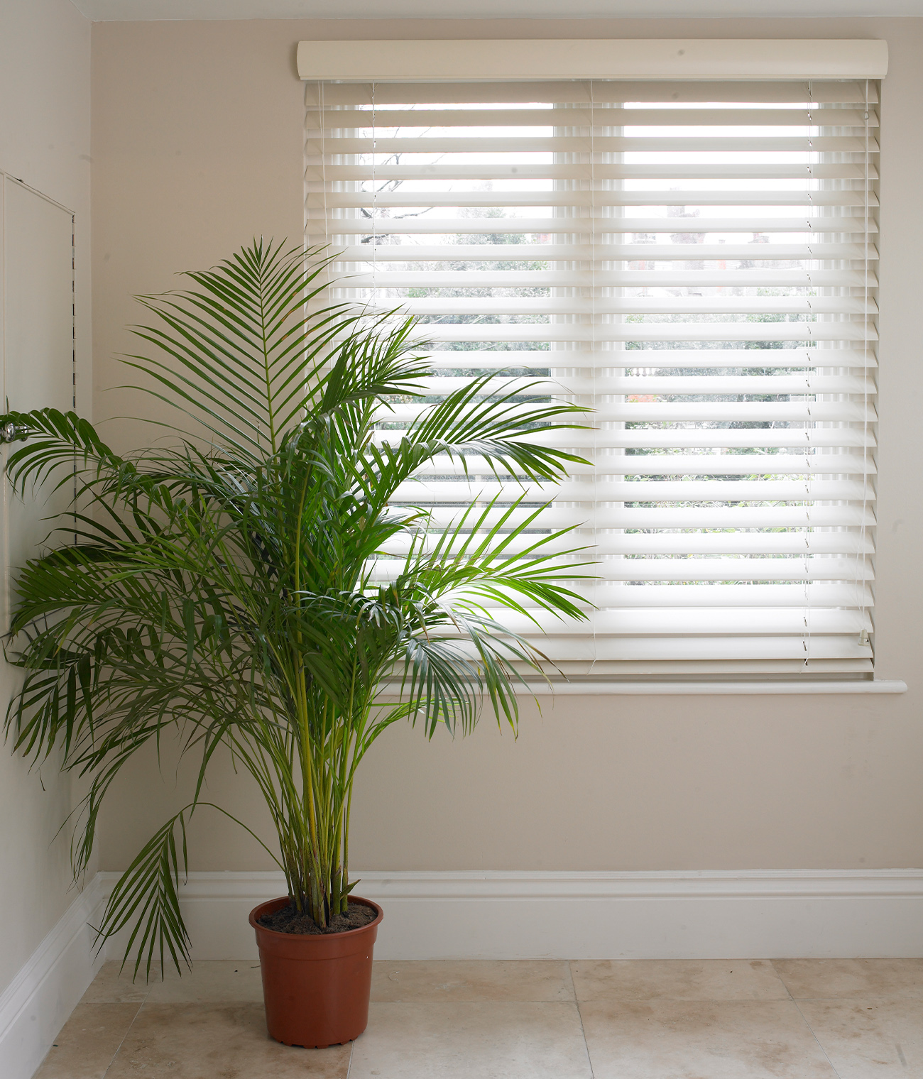 Wooden venetian blinds uk deals