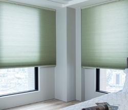 two windows with honeycomb blinds